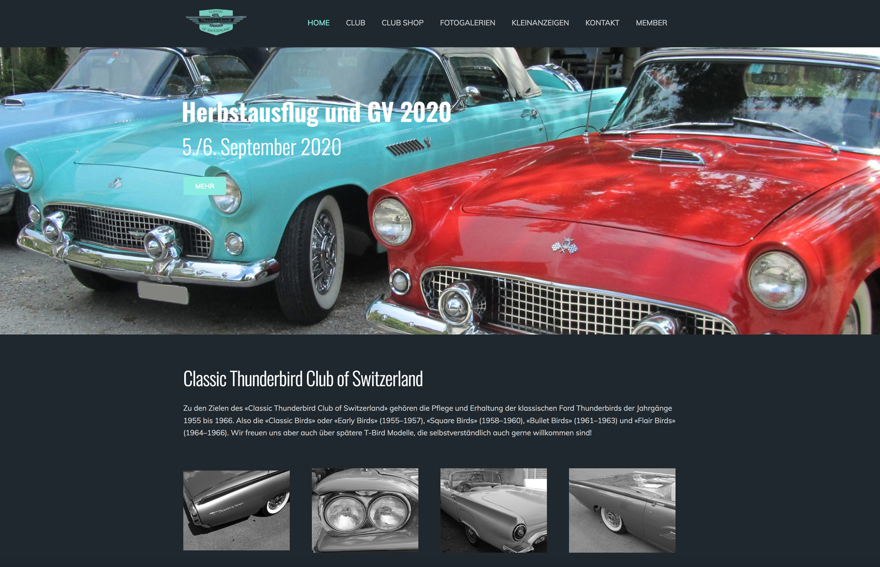 Referenzbild Website Thunderbird